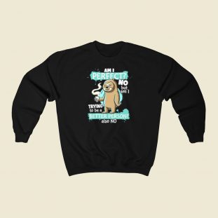 Funny Sloth Am I Perfect Sweatshirts Style